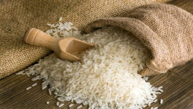 صورة تحديد سعر أقصى للأرز الأبيض بعد الارتفاعات غير المبررة في الأسواق