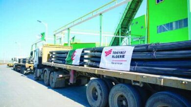 صورة توسيالي الجزائر تصدر 15 ألف طن مواسير إلى أنجولا لتوسيع محطة حاويات ناميبيا
