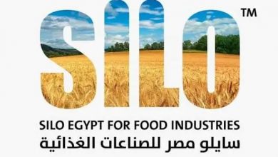 صورة الأكبر من نوعها .. 8 معلومات عن المدينة الصناعية الغذائية الجديدة “سايلو مصر”