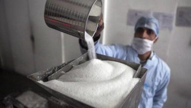 صورة انخفاض أسعار السكر 500 جنيه للطن في السوق المحلي