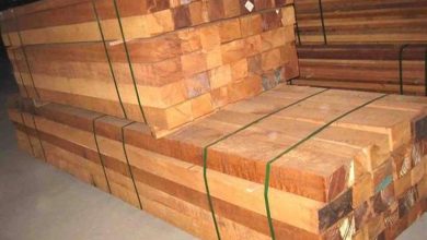 صورة 1.4 مليار دولار واردات مصر من الأخشاب خلال 2021