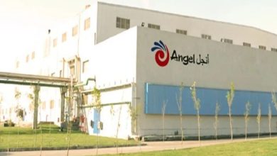 صورة أنجل ييست إيجبت تعتزم ضخ 120 مليون جنيه استثمارات جديدة في مصر