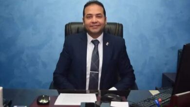 صورة رئيس شعبة الاتصالات: مصر نجحت في التحول إلى مركز إقليمي لإنتاج وتصنيع وتصدير الخدمات الرقمية