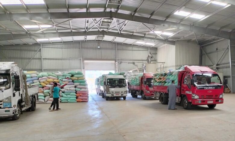 البنك الزراعي يبدأ استلام محصول القمح من المزارعين والموردين في 190 موقع