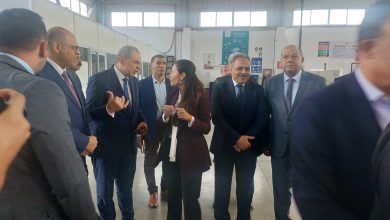 صورة وزير العمل من النساجون الشرقيون: مشروعات الطاقة الشمسية إضافة لمسيرة الصناعة الوطنية