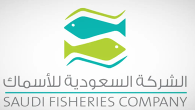 صورة خسائر الأسماك السعودية تتراجع 38% خلال 2025